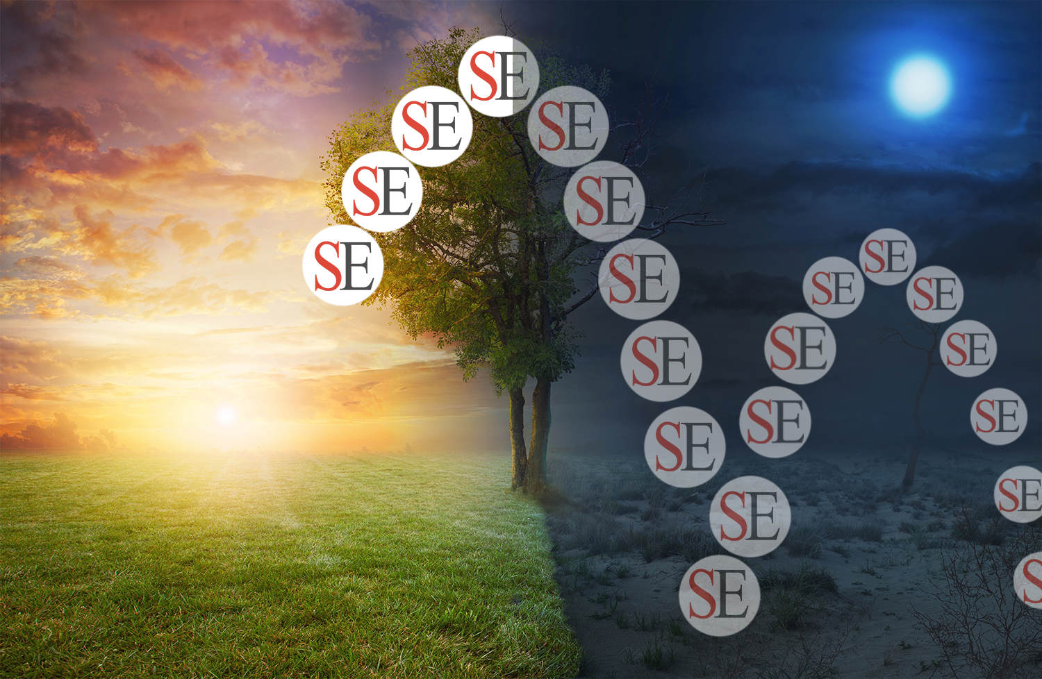 sunshine image: half person in dawn and half in sunshine