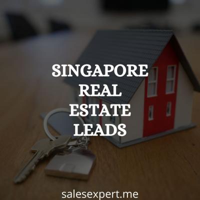 Singapore: Real estate leads