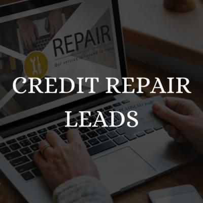 Credit repair leads