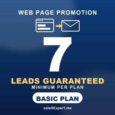 Web page promotion basic plan
