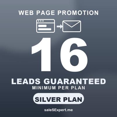 Web page promotion silver plan
